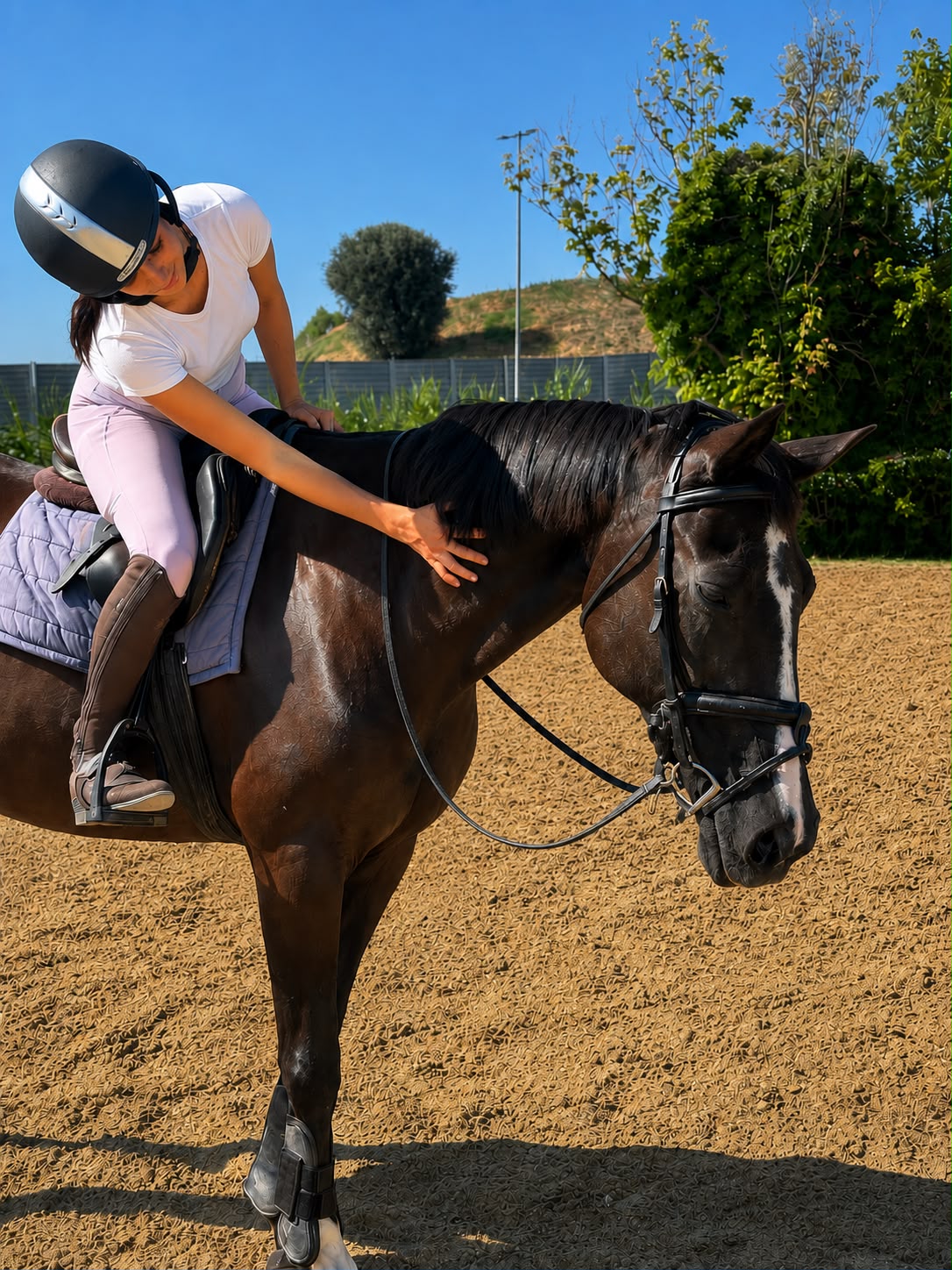 Wodna Lilia, cavallo cavalla polacca baio scuro - 2006