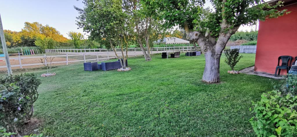 Feste ed eventi al maneggio LD Horse Stable