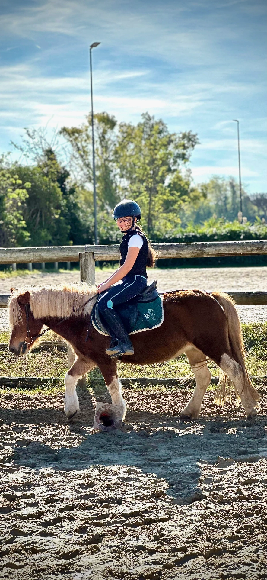LD Horse Stable — foto 2