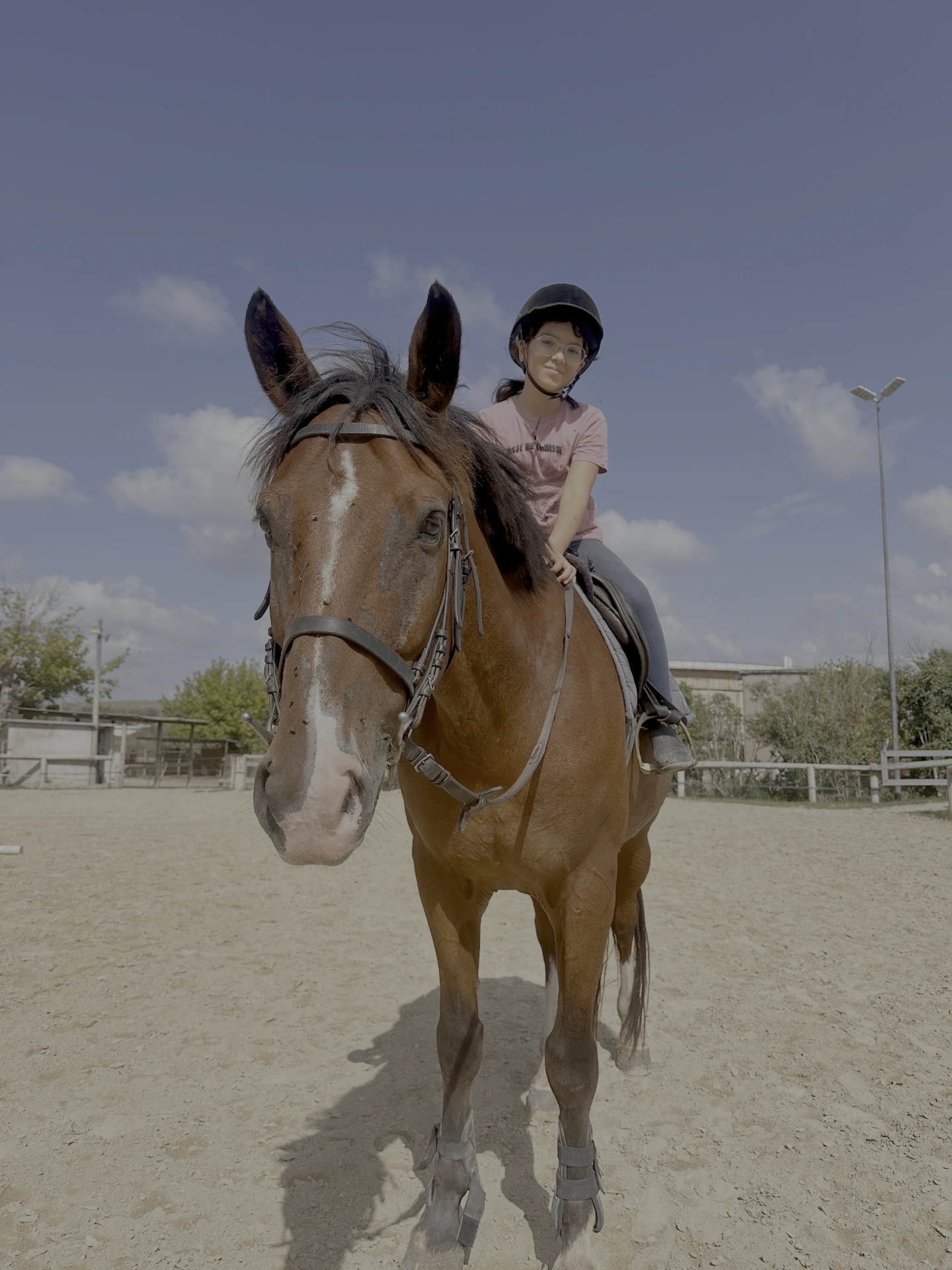 LD Horse Stable — foto 6