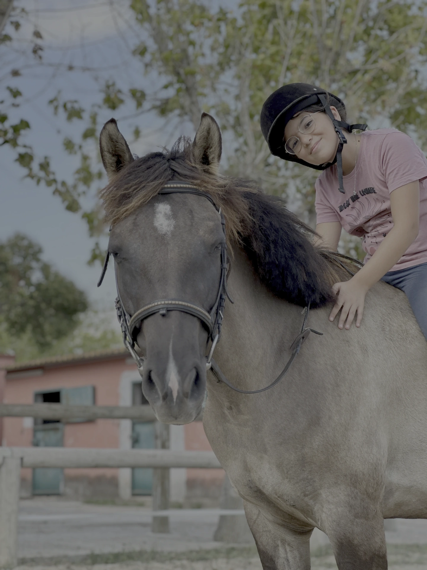 LD Horse Stable — foto 8