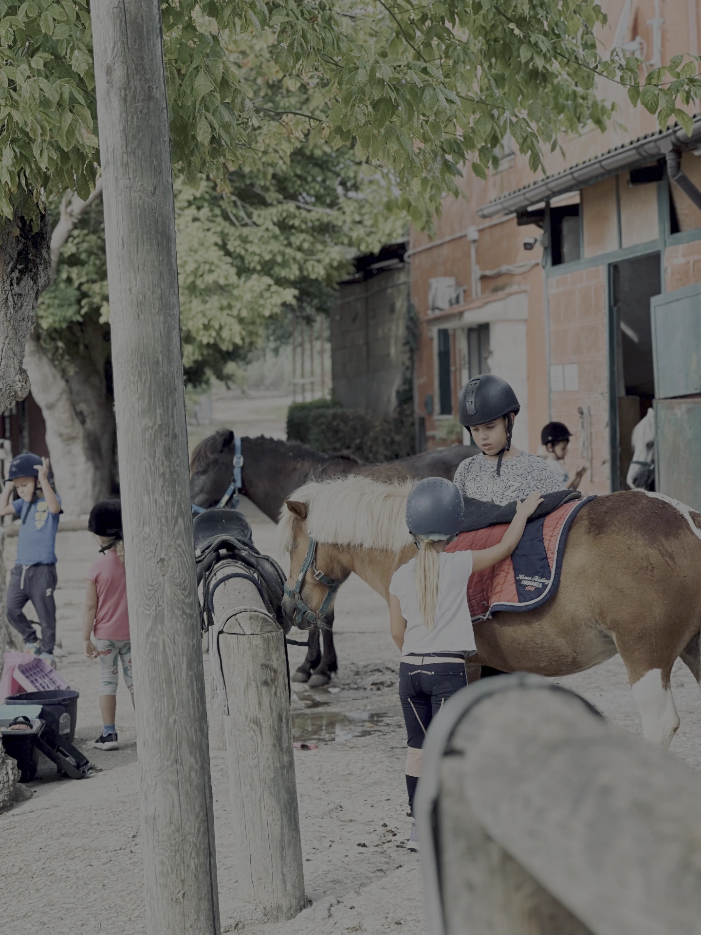 LD Horse Stable — foto 10